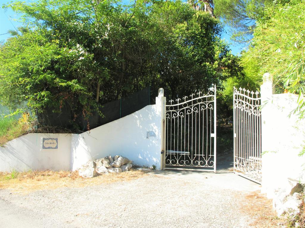 Casa Branca Guest House 福斯·杜·阿勒奥 外观 照片