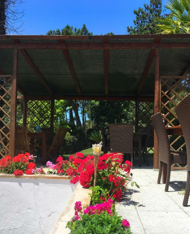 Casa Branca Guest House 福斯·杜·阿勒奥 外观 照片